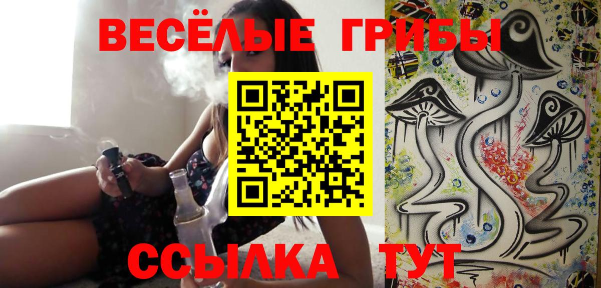 Псилоцибиновые грибы Psilocybe Георгиевск