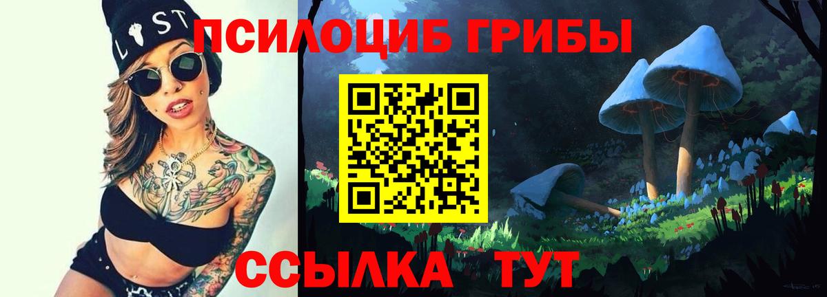 Георгиевск  Галлюциногенные грибы ЛСД  Вход с VPN 